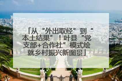 从“外出取经”到“本土结果”！叶县“党支部+合作社”模式绘就乡村振兴新图景