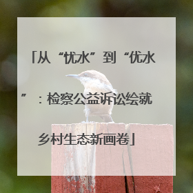 从“忧水”到“优水”：检察公益诉讼绘就乡村生态新画卷