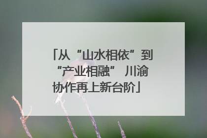 从“山水相依”到“产业相融” 川渝协作再上新台阶