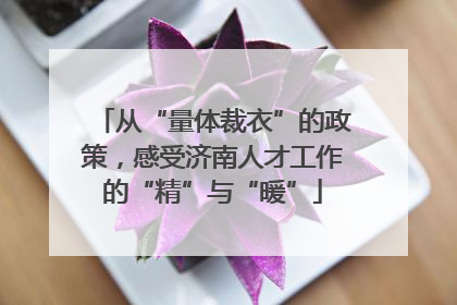 从“量体裁衣”的政策，感受济南人才工作的“精”与“暖”