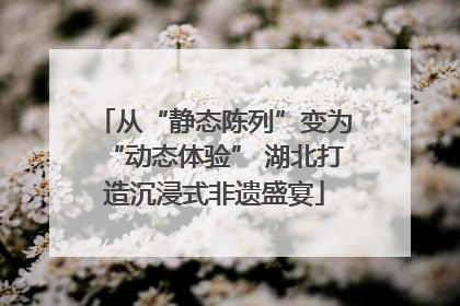 从“静态陈列”变为“动态体验” 湖北打造沉浸式非遗盛宴