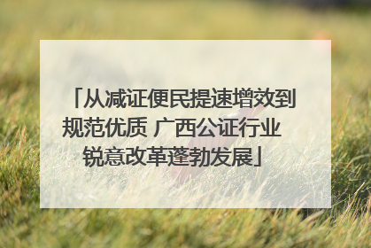 从减证便民提速增效到规范优质 广西公证行业锐意改革蓬勃发展