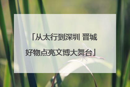 从太行到深圳 晋城好物点亮文博大舞台