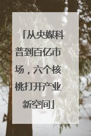 从央媒科普到百亿市场，六个核桃打开产业新空间