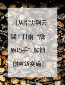 从指尖到云端！甘肃“陇原巧手”解锁创富新赛道