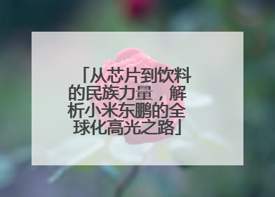 从芯片到饮料的民族力量，解析小米东鹏的全球化高光之路