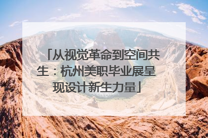 从视觉革命到空间共生：杭州美职毕业展呈现设计新生力量