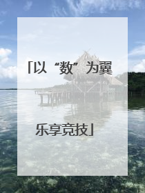以“数”为翼 乐享竞技