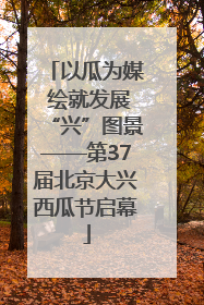 以瓜为媒 绘就发展“兴”图景——第37届北京大兴西瓜节启幕