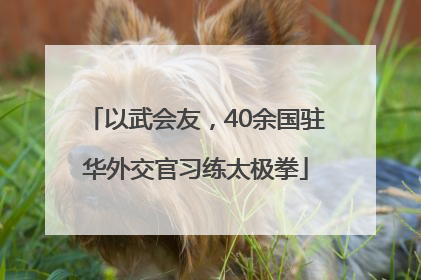以武会友，40余国驻华外交官习练太极拳