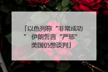 以色列称“非常成功” 伊朗誓言“严惩” 美国仍想谈判