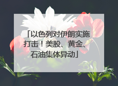 以色列对伊朗实施打击！美股、黄金、石油集体异动