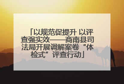 以规范促提升 以评查强实效——商南县司法局开展调解案卷“体检式”评查行动