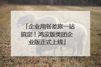企业用餐差旅一站搞定！鸿蒙版美团企业版正式上线