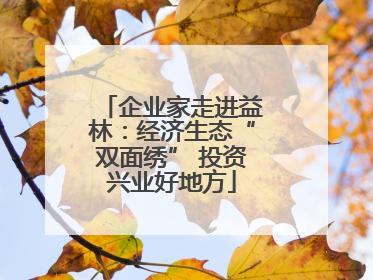 企业家走进益林：经济生态“双面绣” 投资兴业好地方