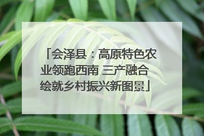 会泽县：高原特色农业领跑西南 三产融合绘就乡村振兴新图景