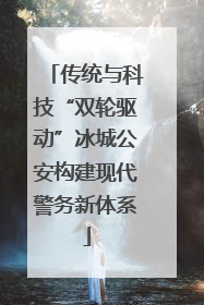 传统与科技“双轮驱动”冰城公安构建现代警务新体系