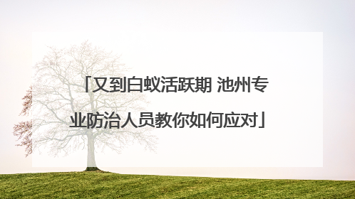 又到白蚁活跃期 池州专业防治人员教你如何应对