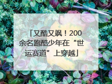 又酷又飒！200余名跑酷少年在“世运赛道”上穿越