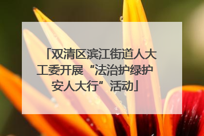 双清区滨江街道人大工委开展“法治护绿护安人大行”活动