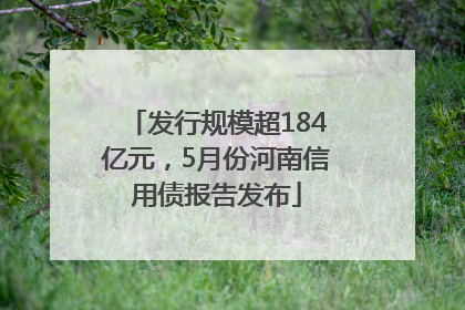 发行规模超184亿元，5月份河南信用债报告发布