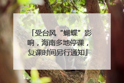 受台风“蝴蝶”影响，海南多地停课，复课时间另行通知