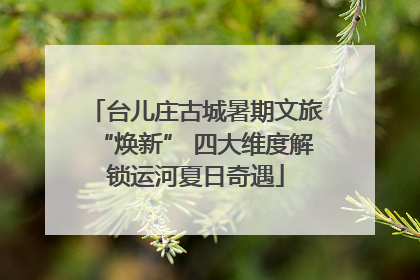 台儿庄古城暑期文旅“焕新” 四大维度解锁运河夏日奇遇
