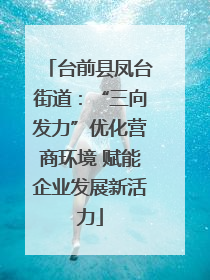 台前县凤台街道：“三向发力”优化营商环境 赋能企业发展新活力