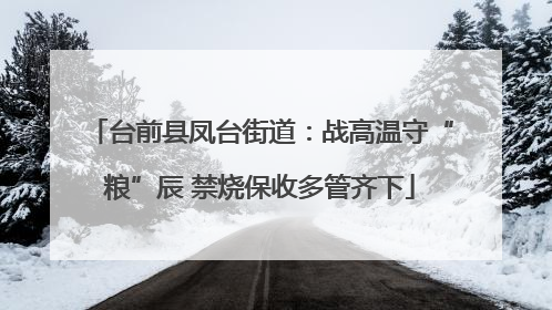 台前县凤台街道：战高温守“粮”辰 禁烧保收多管齐下