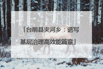 台前县夹河乡：谱写基层治理高效能篇章