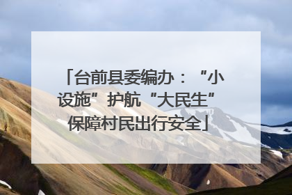 台前县委编办：“小设施”护航“大民生” 保障村民出行安全