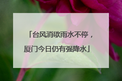 台风消歇雨水不停，厦门今日仍有强降水