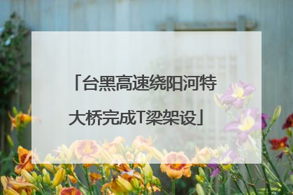 台黑高速绕阳河特大桥完成T梁架设