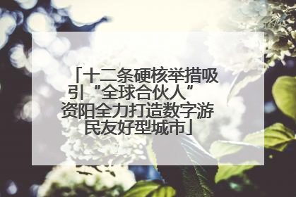 十二条硬核举措吸引“全球合伙人” 资阳全力打造数字游民友好型城市