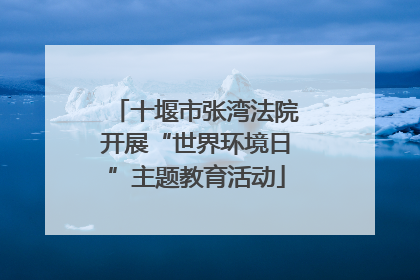 十堰市张湾法院开展“世界环境日”主题教育活动