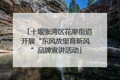 十堰张湾区花果街道开展“东风故里育新风”品牌宣讲活动