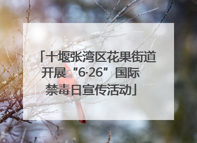十堰张湾区花果街道开展“6·26”国际禁毒日宣传活动
