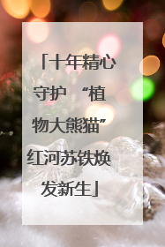 十年精心守护 “植物大熊猫”红河苏铁焕发新生