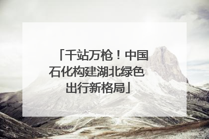 千站万枪！中国石化构建湖北绿色出行新格局