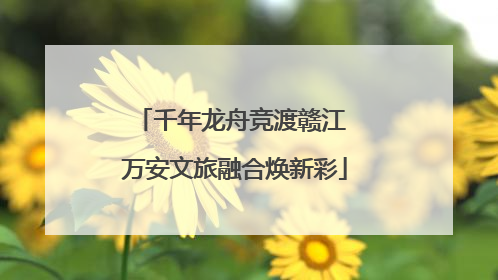 千年龙舟竞渡赣江 万安文旅融合焕新彩