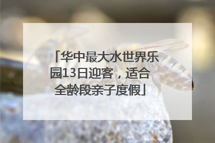 华中最大水世界乐园13日迎客，适合全龄段亲子度假
