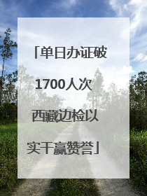 单日办证破1700人次 西藏边检以实干赢赞誉