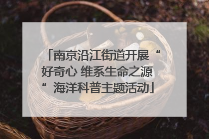 南京沿江街道开展“好奇心 维系生命之源”海洋科普主题活动