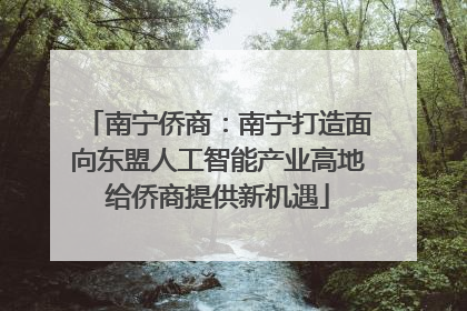 南宁侨商：南宁打造面向东盟人工智能产业高地给侨商提供新机遇