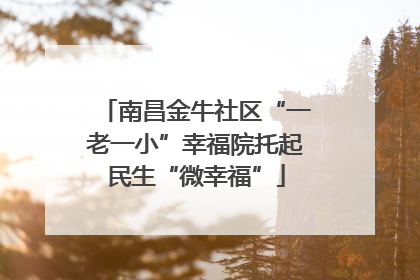 南昌金牛社区“一老一小”幸福院托起民生“微幸福”
