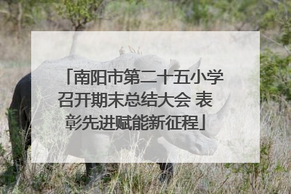 南阳市第二十五小学召开期末总结大会 表彰先进赋能新征程