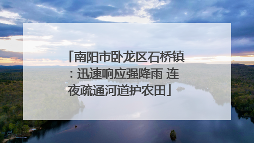 南阳市卧龙区石桥镇：迅速响应强降雨 连夜疏通河道护农田