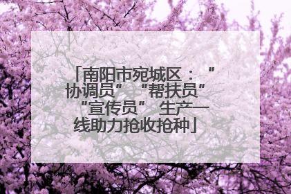 南阳市宛城区：“协调员”“帮扶员”“宣传员” 生产一线助力抢收抢种
