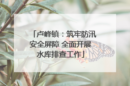 卢峰镇：筑牢防汛安全屏障 全面开展水库排查工作