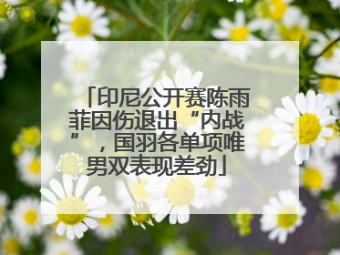 印尼公开赛陈雨菲因伤退出“内战”，国羽各单项唯男双表现差劲